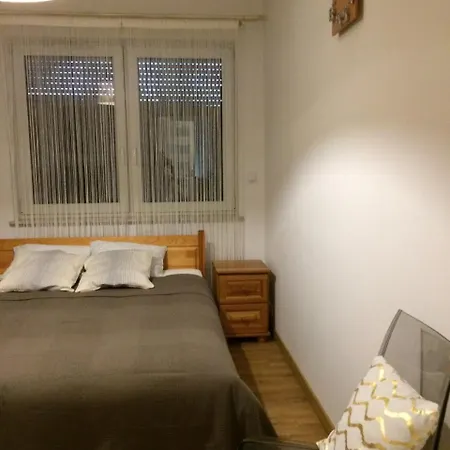 Apartament Fibra Grande Apartment *